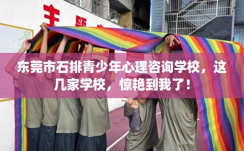 东莞市石排青少年心理咨询学校，这几家学校，惊艳到我了！