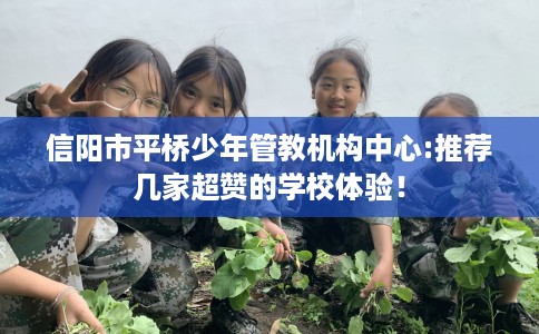 信阳市平桥少年管教机构中心:推荐几家超赞的学校体验！