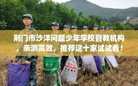 荆门市沙洋问题少年学校管教机构，亲测高效，推荐这十家试试看！