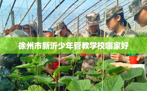 徐州市新沂少年管教学校哪家好