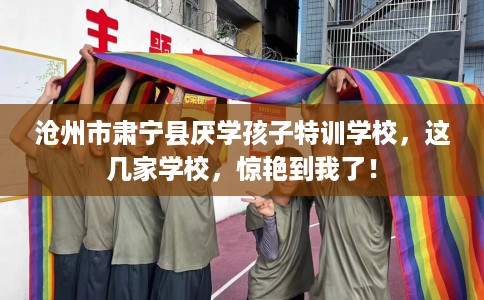 沧州市肃宁县厌学孩子特训学校，这几家学校，惊艳到我了！
