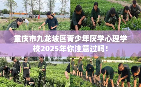 重庆市九龙坡区青少年厌学心理学校2025年你注意过吗！