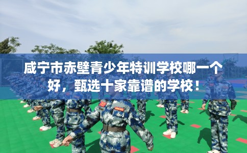 咸宁市赤壁青少年特训学校哪一个好,甄选十家靠谱的学校! 咸宁市赤壁青少年特训学校哪一个好,甄选十家靠谱的学校!