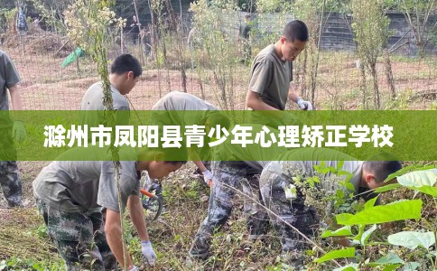 滁州市凤阳县青少年心理矫正学校 滁州市凤阳县青少年心理矫正学校
