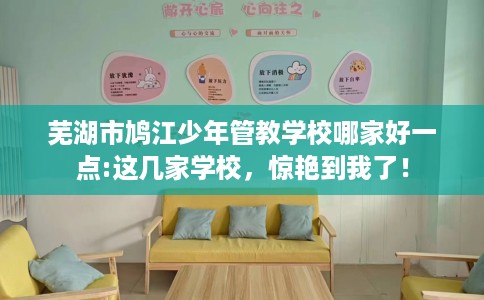 芜湖市鸠江少年管教学校哪家好一点:这几家学校,惊艳到我了! 芜湖市鸠江少年管教学校哪家好一点:这几家学校,惊艳到我了!