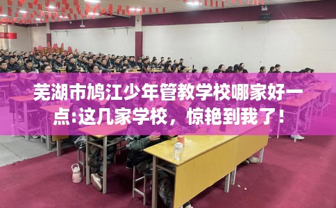芜湖市鸠江少年管教学校哪家好一点:这几家学校，惊艳到我了！