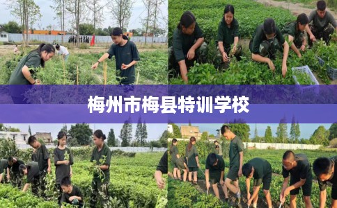 梅州市梅县特训学校