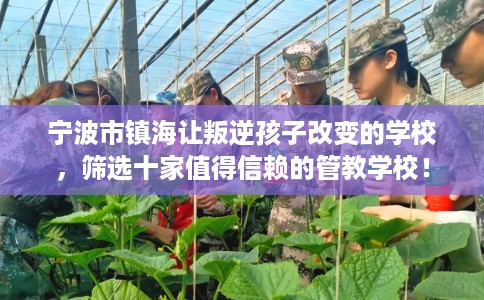 宁波市镇海让叛逆孩子改变的学校，筛选十家值得信赖的管教学校！