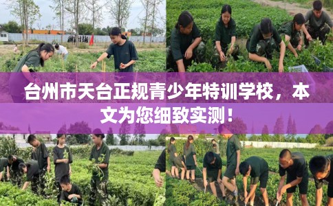 台州市天台正规青少年特训学校，本文为您细致实测！