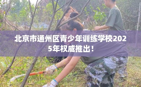 北京市通州区青少年训练学校2025年权威推出！