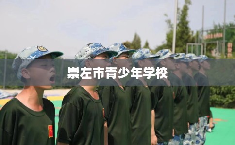崇左市青少年学校 崇左市青少年学校