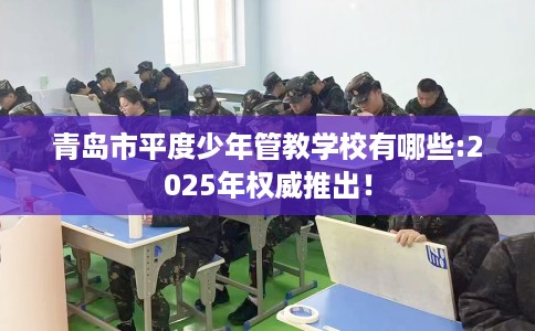 青岛市平度少年管教学校有哪些:2025年权威推出！
