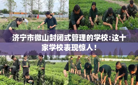 济宁市微山封闭式管理的学校:这十家学校表现惊人! 济宁市微山封闭式管理的学校:这十家学校表现惊人!