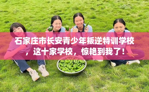 石家庄市长安青少年叛逆特训学校，这十家学校，惊艳到我了！