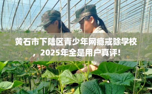 黄石市下陆区青少年网瘾戒除学校,2025年全是用户真评! 黄石市下陆区青少年网瘾戒除学校,2025年全是用户真评!