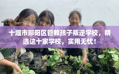 十堰市郧阳区管教孩子叛逆学校，精选这十家学校，实用无忧！