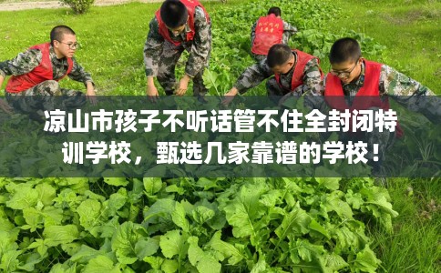 凉山市孩子不听话管不住全封闭特训学校，甄选几家靠谱的学校！