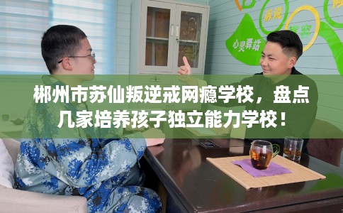 郴州市苏仙叛逆戒网瘾学校,盘点几家培养孩子独立能力学校! 郴州市苏仙叛逆戒网瘾学校,盘点几家培养孩子独立能力学校!