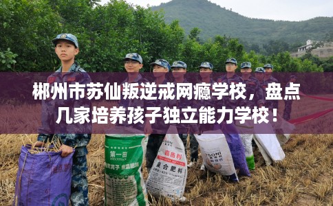 郴州市苏仙叛逆戒网瘾学校,盘点几家培养孩子独立能力学校! 郴州市苏仙叛逆戒网瘾学校,盘点几家培养孩子独立能力学校!