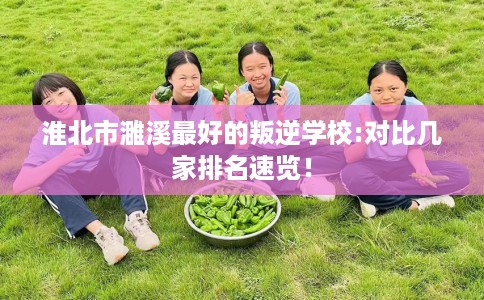 淮北市濉溪最好的叛逆学校:对比几家排名速览！