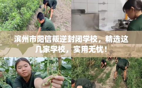 滨州市阳信叛逆封闭学校，精选这几家学校，实用无忧！