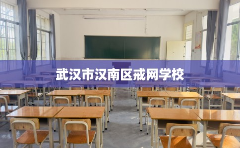 武汉市汉南区戒网学校