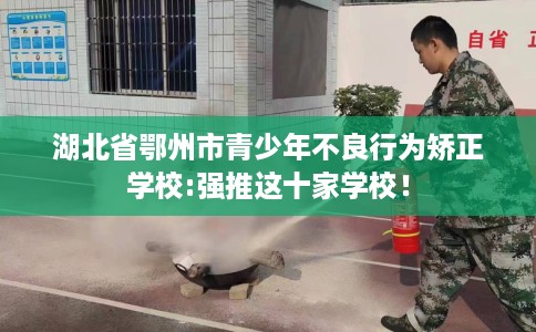 湖北省鄂州市青少年不良行为矫正学校:强推这十家学校！