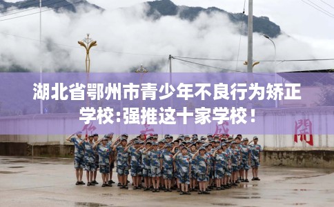湖北省鄂州市青少年不良行为矫正学校:强推这十家学校！