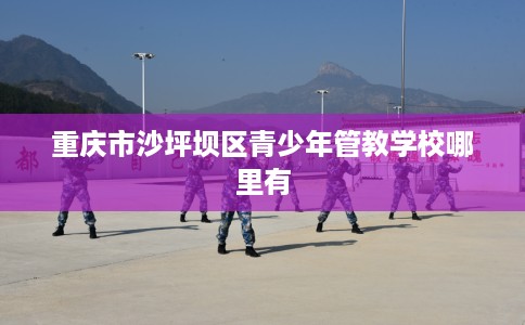 重庆市沙坪坝区青少年管教学校哪里有