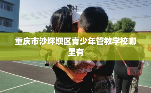 重庆市沙坪坝区青少年管教学校哪里有