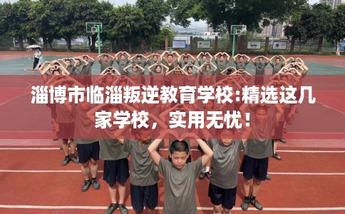 淄博市临淄叛逆教育学校:精选这几家学校，实用无忧！