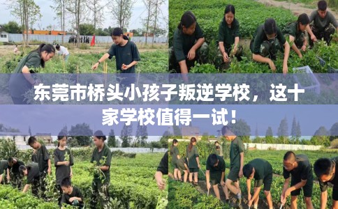 东莞市桥头小孩子叛逆学校，这十家学校值得一试！