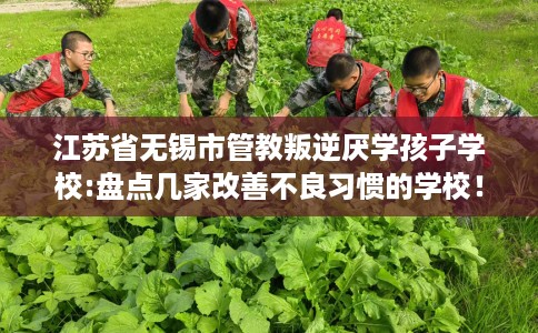 江苏省无锡市管教叛逆厌学孩子学校:盘点几家改善不良习惯的学校！