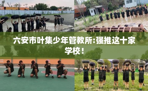 六安市叶集少年管教所:强推这十家学校！