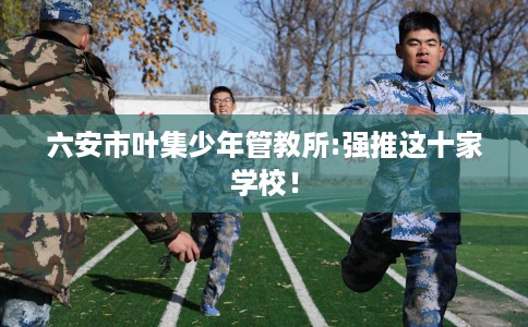 六安市叶集少年管教所:强推这十家学校！