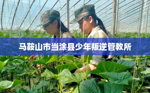 马鞍山市当涂县少年叛逆管教所