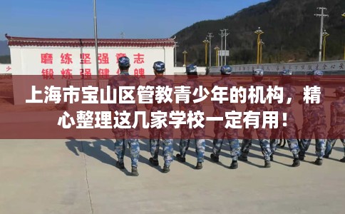 上海市宝山区管教青少年的机构,精心整理这几家学校一定有用! 上海市宝山区管教青少年的机构,精心整理这几家学校一定有用!