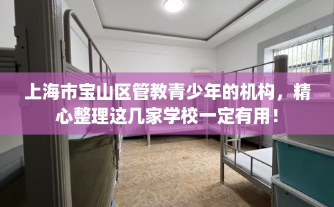 上海市宝山区管教青少年的机构，精心整理这几家学校一定有用！