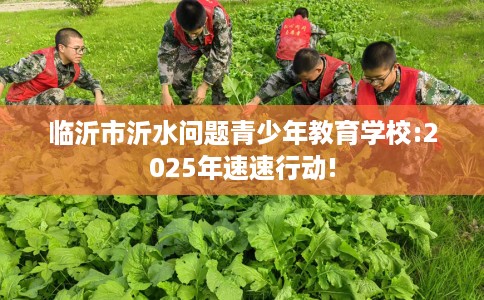 临沂市沂水问题青少年教育学校:2025年速速行动!