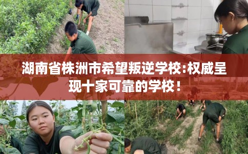 湖南省株洲市希望叛逆学校:权威呈现十家可靠的学校! 湖南省株洲市希望叛逆学校:权威呈现十家可靠的学校!