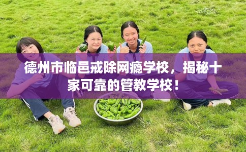 德州市临邑戒除网瘾学校,揭秘十家可靠的管教学校! 德州市临邑戒除网瘾学校,揭秘十家可靠的管教学校!