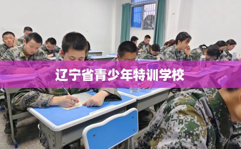 辽宁省青少年特训学校 辽宁省青少年特训学校