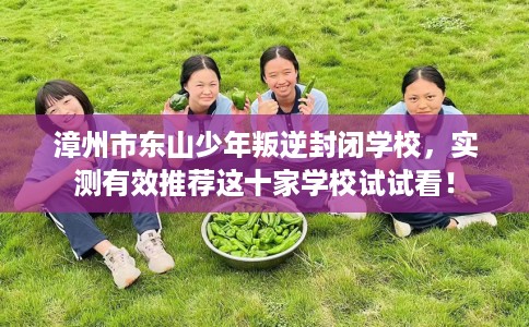 漳州市东山少年叛逆封闭学校,实测有效推荐这十家学校试试看! 漳州市东山少年叛逆封闭学校,实测有效推荐这十家学校试试看!