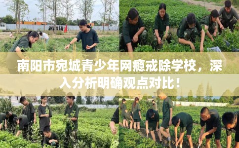南阳市宛城青少年网瘾戒除学校，深入分析明确观点对比！
