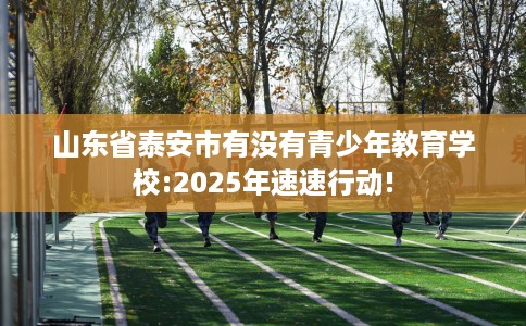 山东省泰安市有没有青少年教育学校:2025年速速行动! 山东省泰安市有没有青少年教育学校:2025年速速行动!