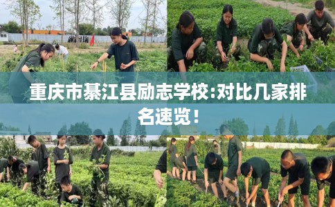 重庆市綦江县励志学校:对比几家排名速览！