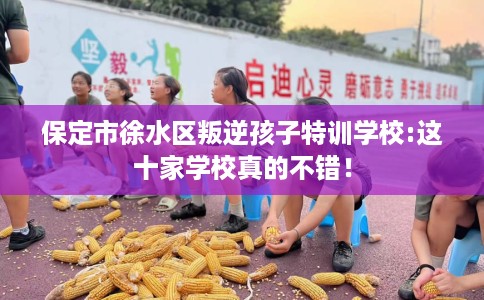 保定市徐水区叛逆孩子特训学校:这十家学校真的不错! 保定市徐水区叛逆孩子特训学校:这十家学校真的不错!