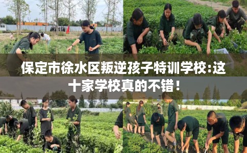 保定市徐水区叛逆孩子特训学校:这十家学校真的不错! 保定市徐水区叛逆孩子特训学校:这十家学校真的不错!