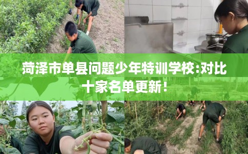 菏泽市单县问题少年特训学校:对比十家名单更新！