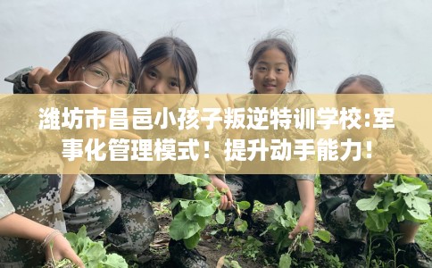 潍坊市昌邑小孩子叛逆特训学校:军事化管理模式!提升动手能力! 潍坊市昌邑小孩子叛逆特训学校:军事化管理模式!提升动手能力!